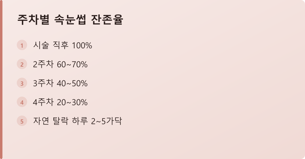 주차별 속눈썹 잔존율