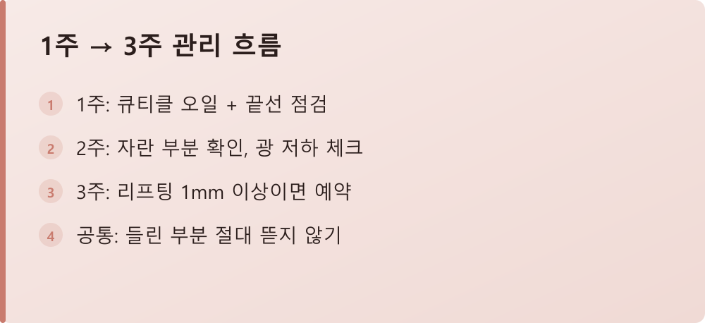 1주 → 3주 관리 흐름
